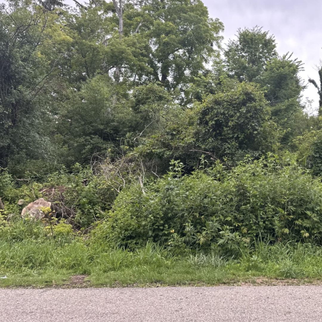 Lt 8050 Quail Road, Geneva, WI 53147