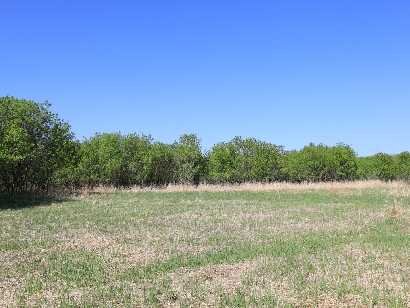 000 County Rd M Road, Browntown, WI 53522