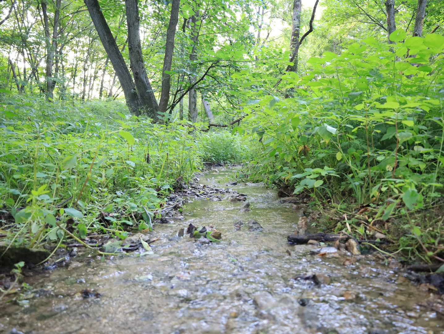 000 W Steele Road, Hanover, IL 61041