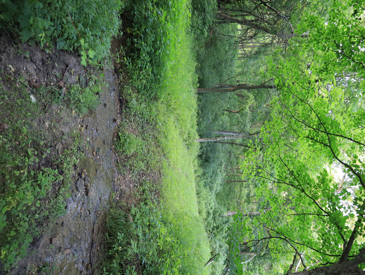 000 W Steele Road, Hanover, IL 61041