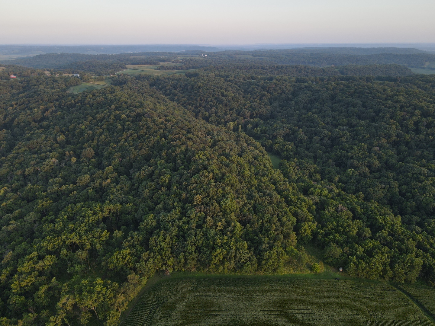 000 W Steele Road, Hanover, IL 61041