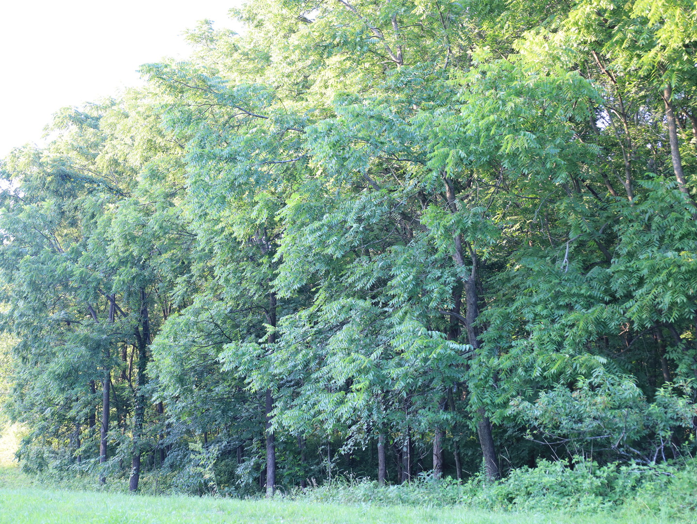 000 W Steele Road, Hanover, IL 61041