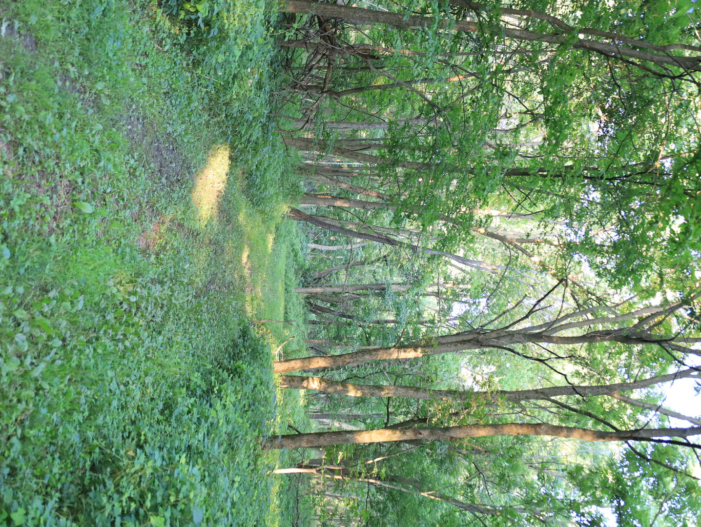 000 W Steele Road, Hanover, IL 61041