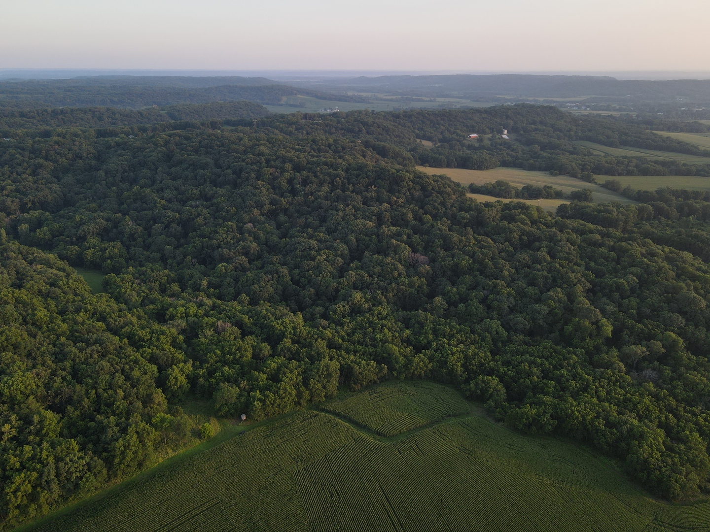 000 W Steele Road, Hanover, IL 61041