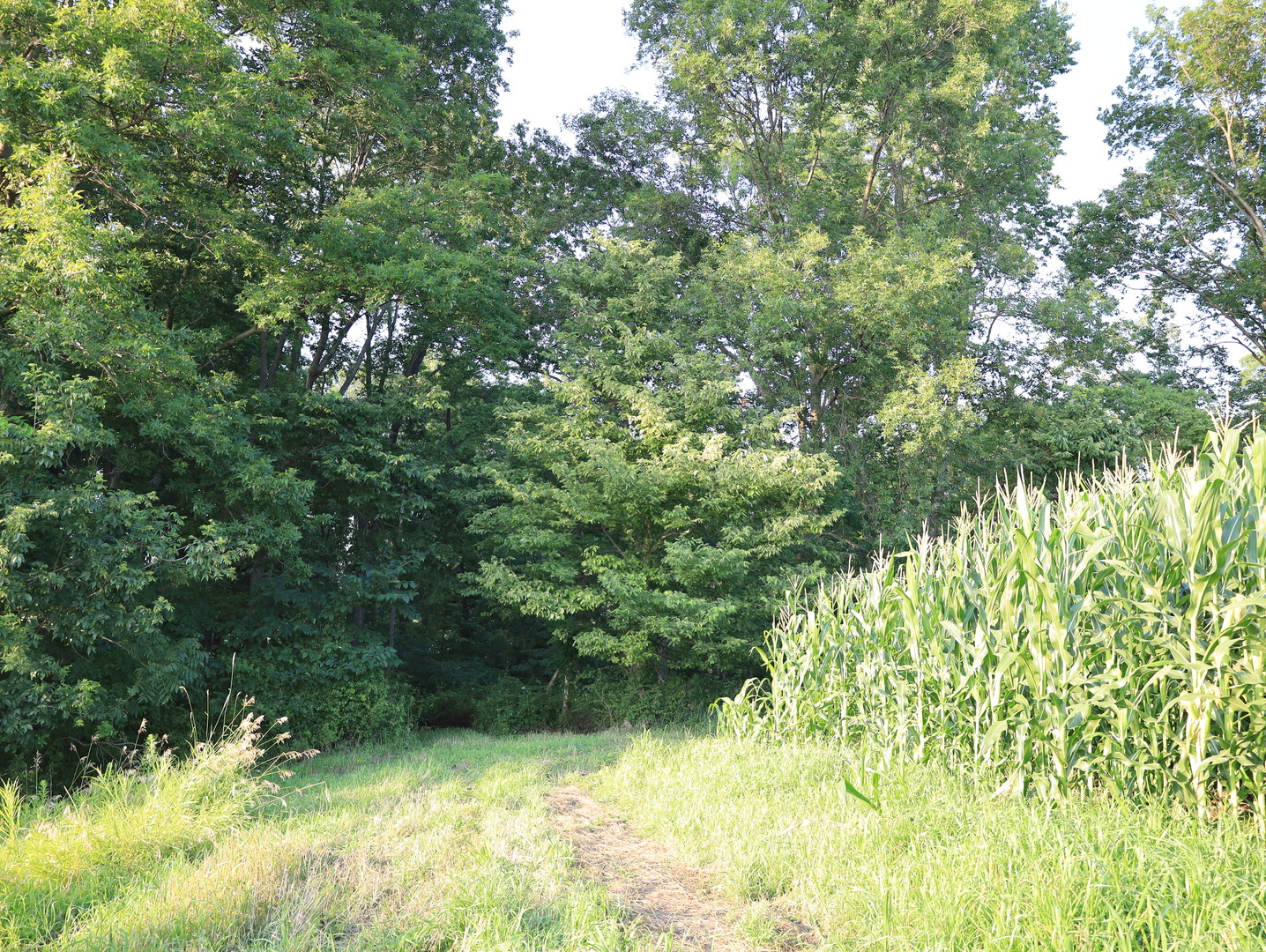 000 W Steele Road, Hanover, IL 61041