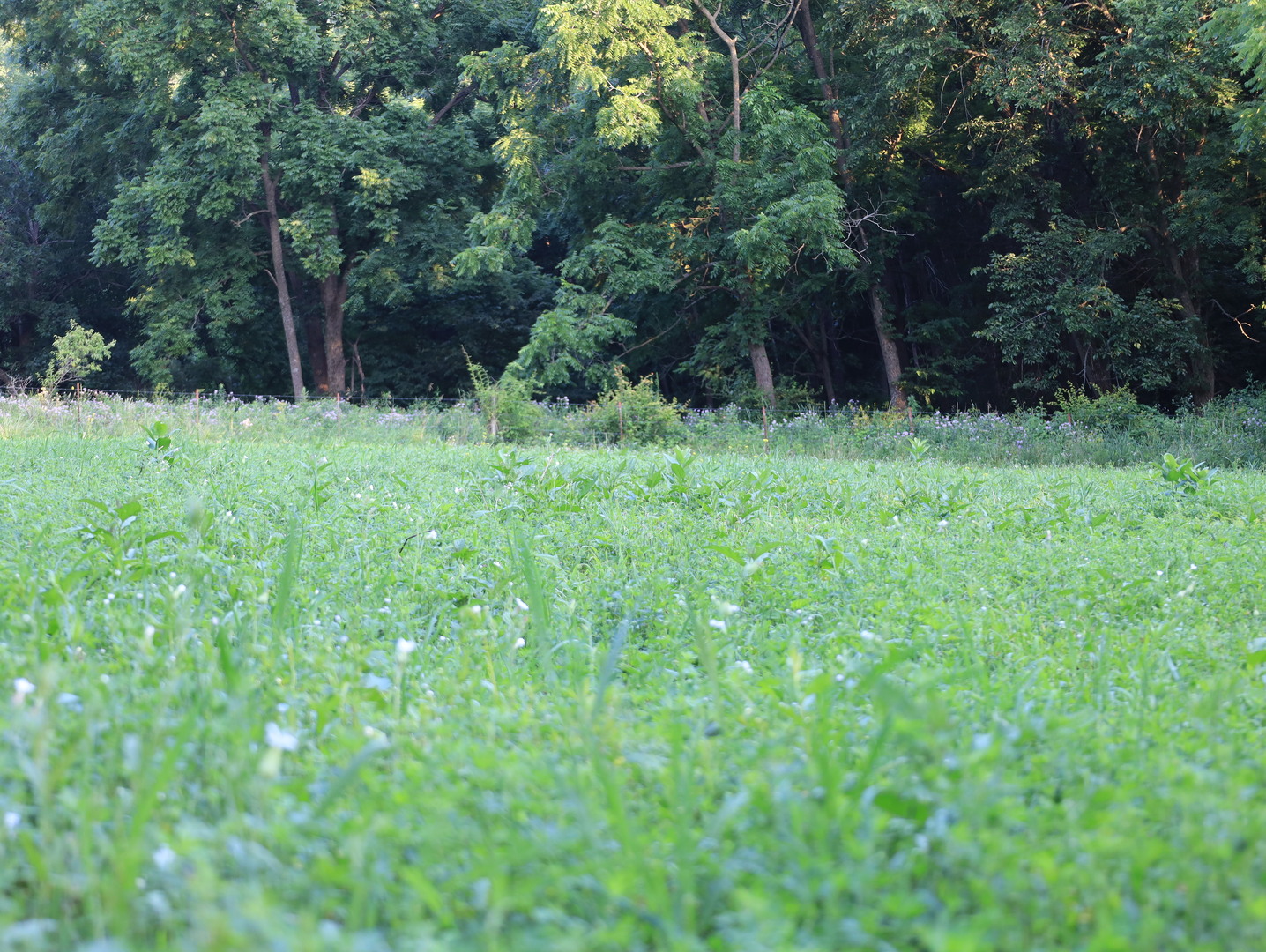 000 W Steele Road, Hanover, IL 61041