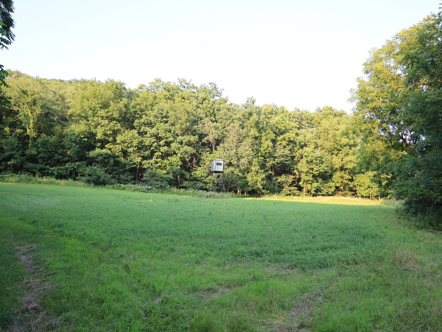 000 W Steele Road, Hanover, IL 61041