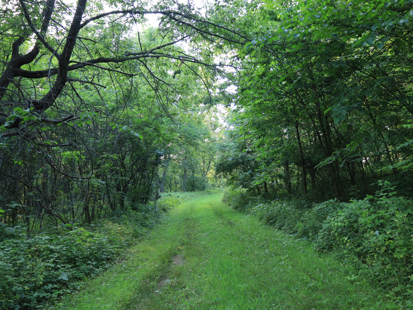 000 W Steele Road, Hanover, IL 61041