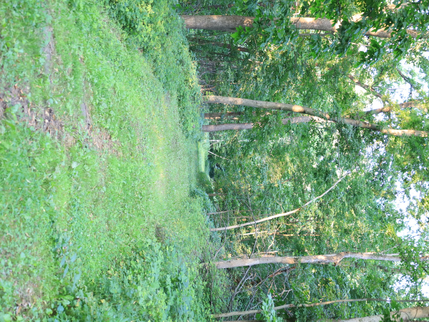 000 W Steele Road, Hanover, IL 61041