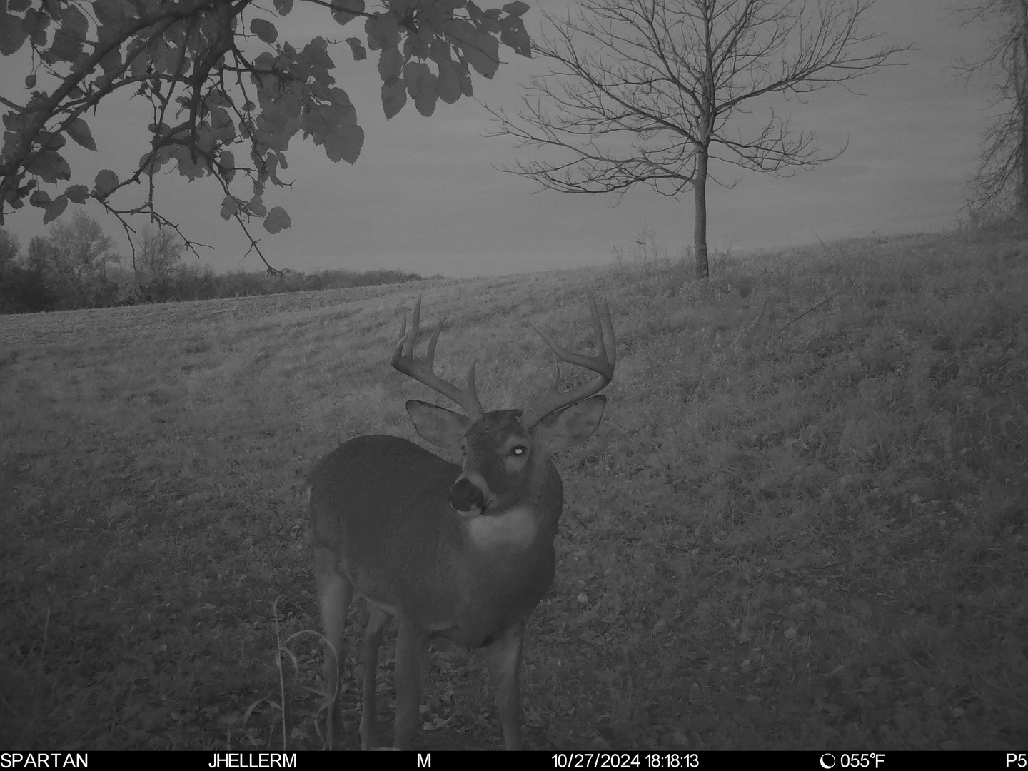 000 W Steele Road, Hanover, IL 61041