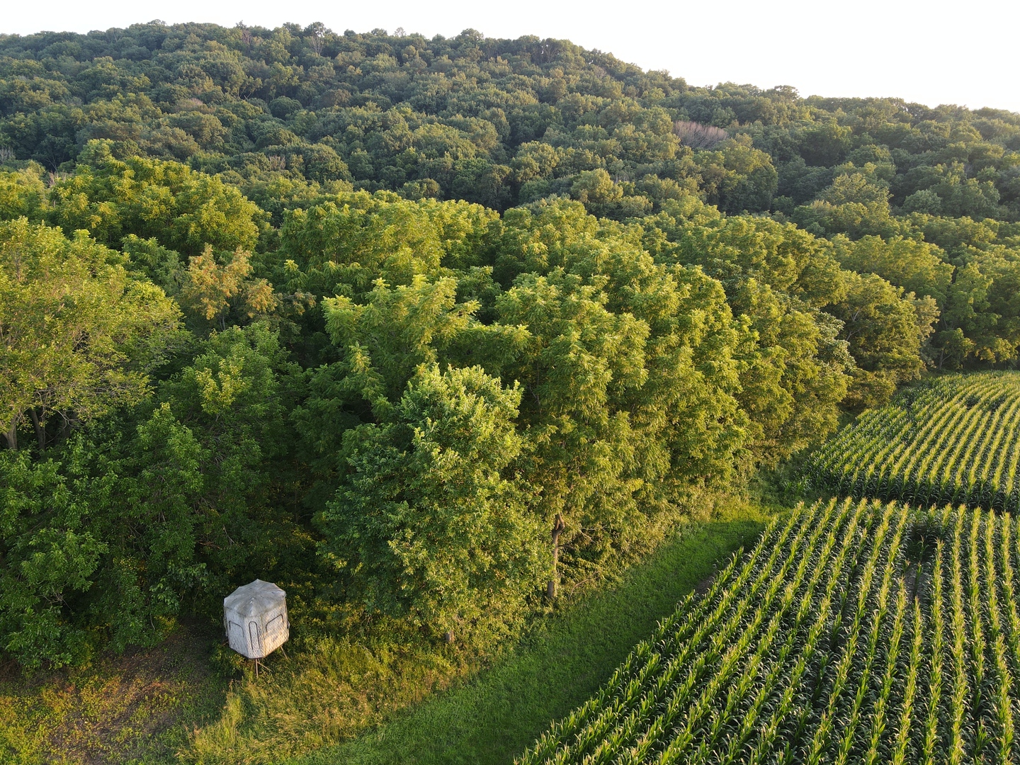 000 W Steele Road, Hanover, IL 61041