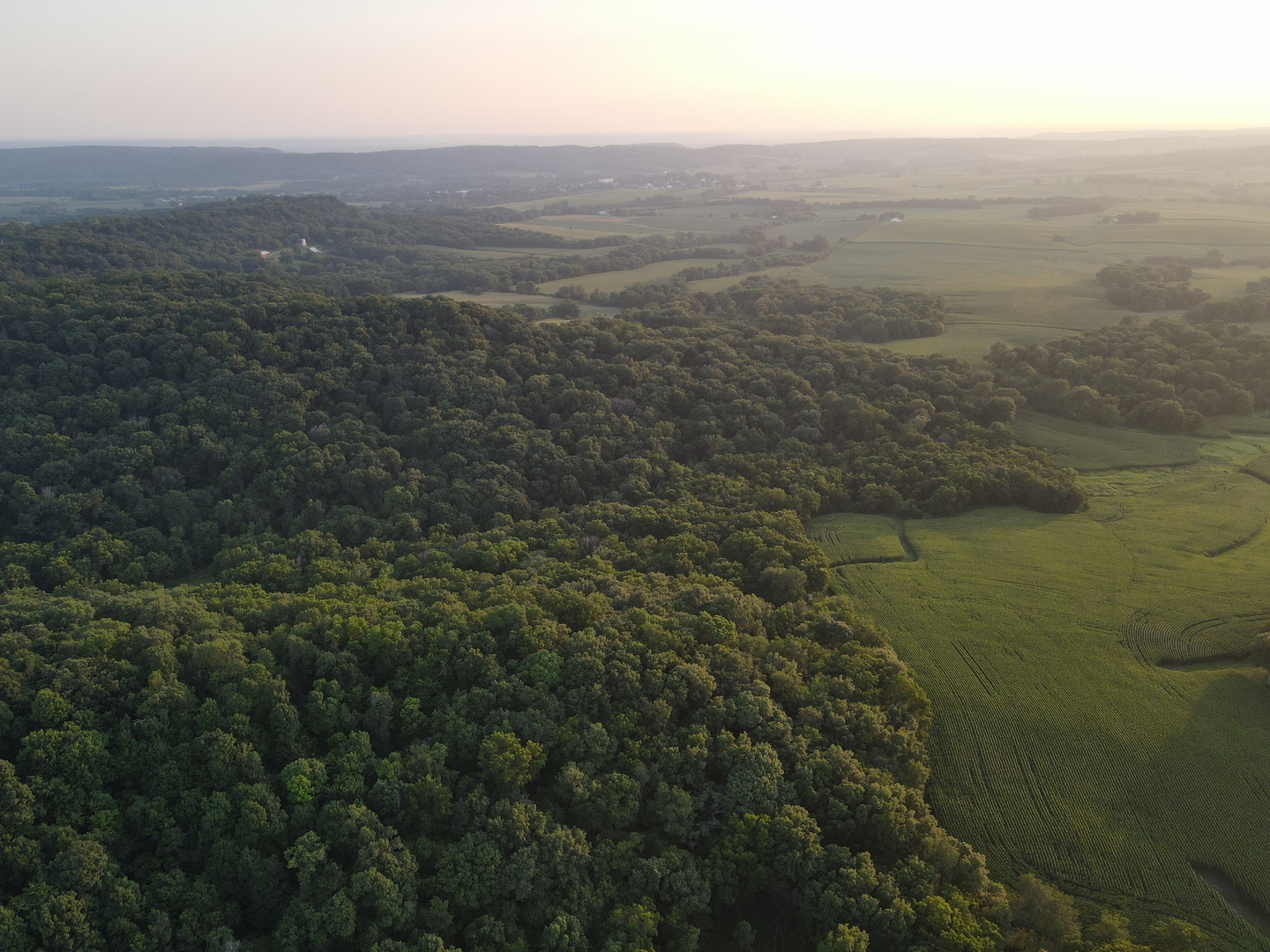 000 W Steele Road, Hanover, IL 61041