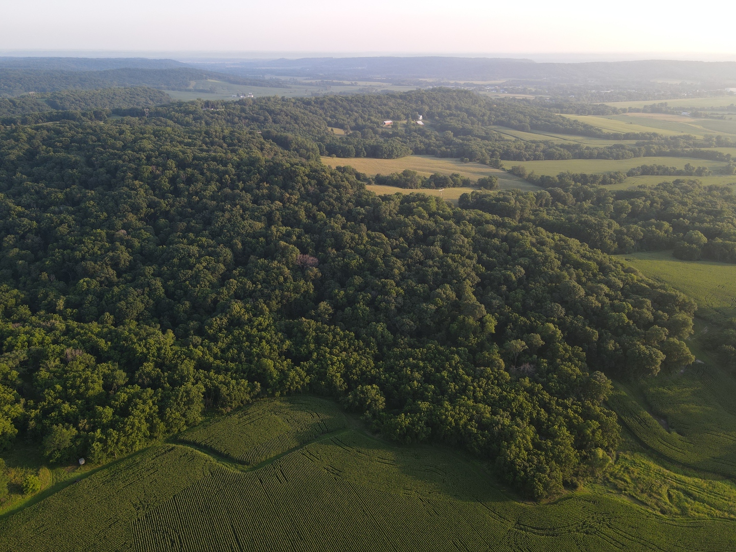 000 W Steele Road, Hanover, IL 61041