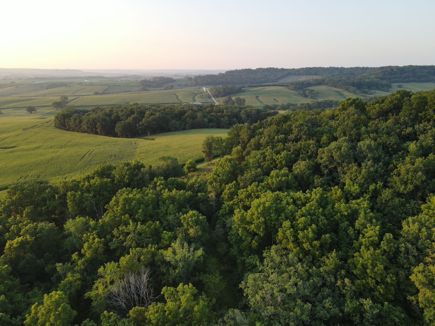 000 W Steele Road, Hanover, IL 61041