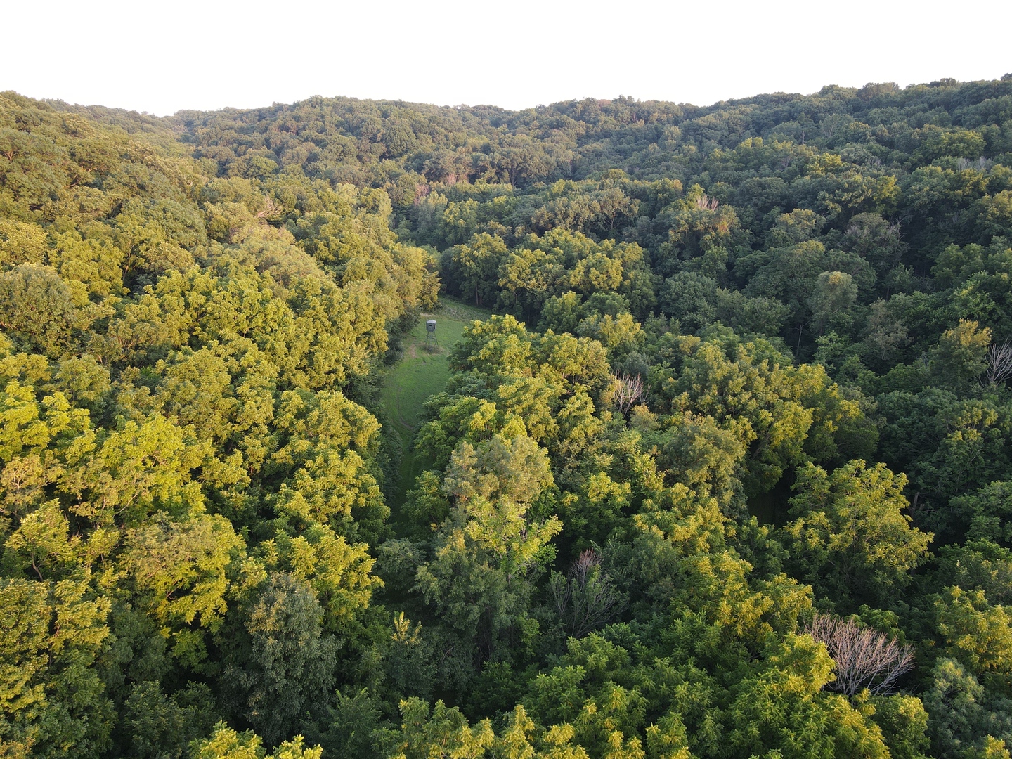 000 W Steele Road, Hanover, IL 61041