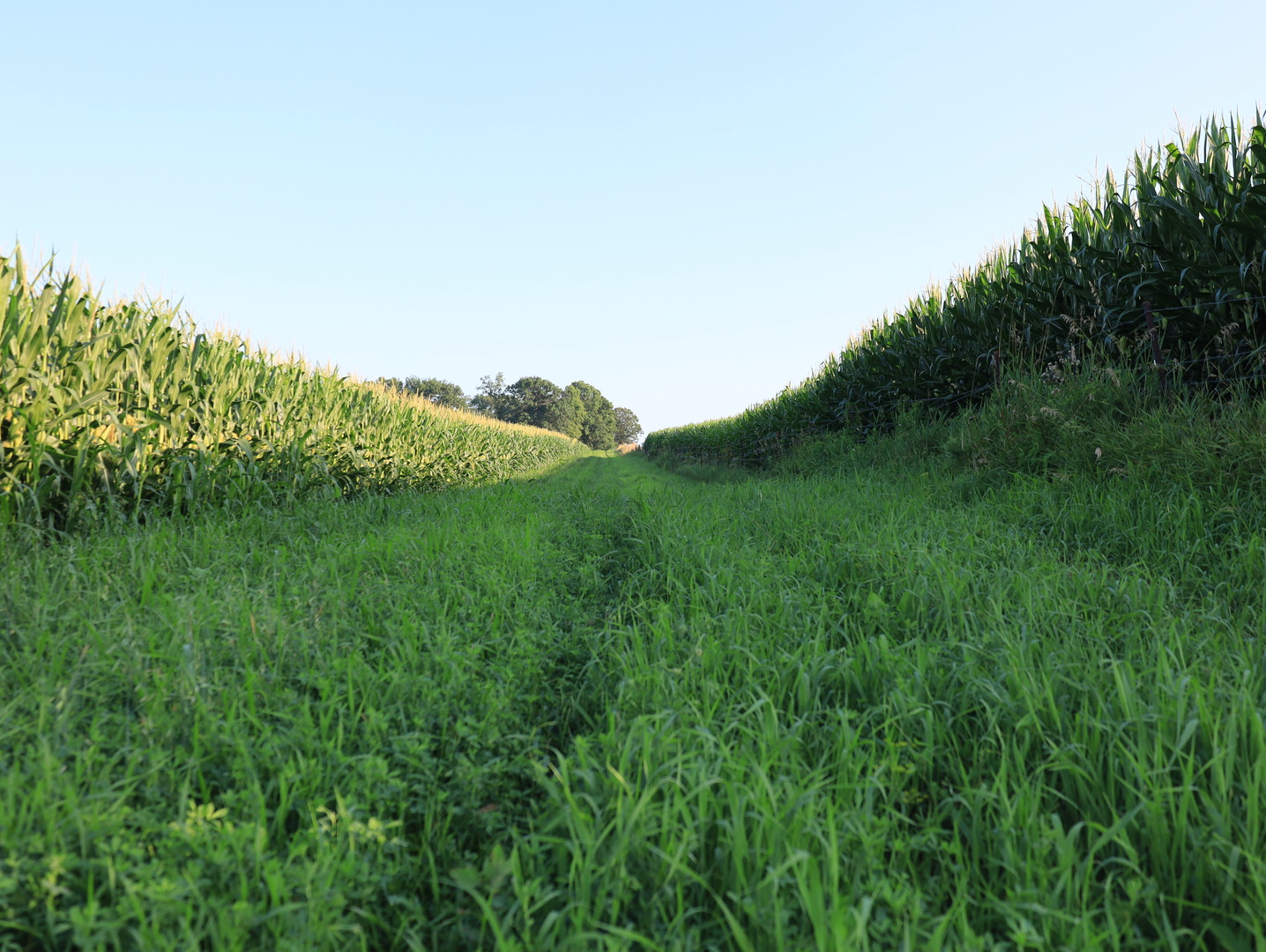 000 W Steele Road, Hanover, IL 61041