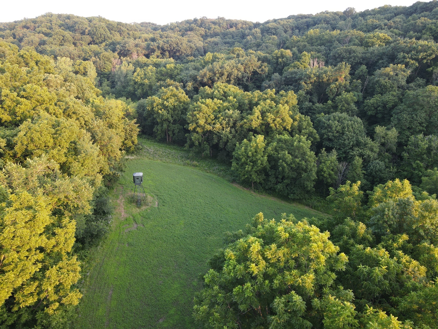 000 W Steele Road, Hanover, IL 61041