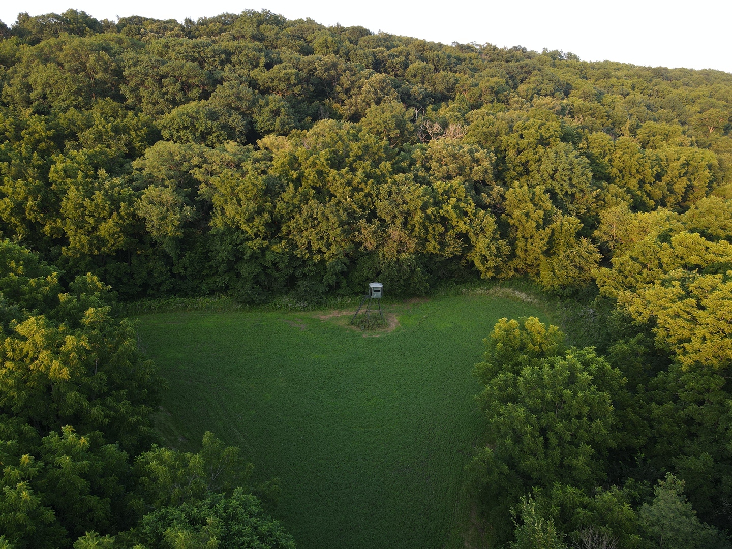 000 W Steele Road, Hanover, IL 61041