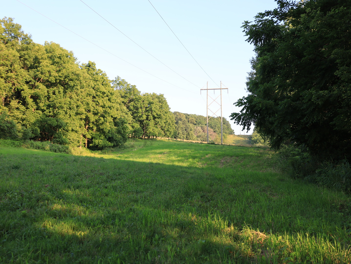 000 W Steele Road, Hanover, IL 61041