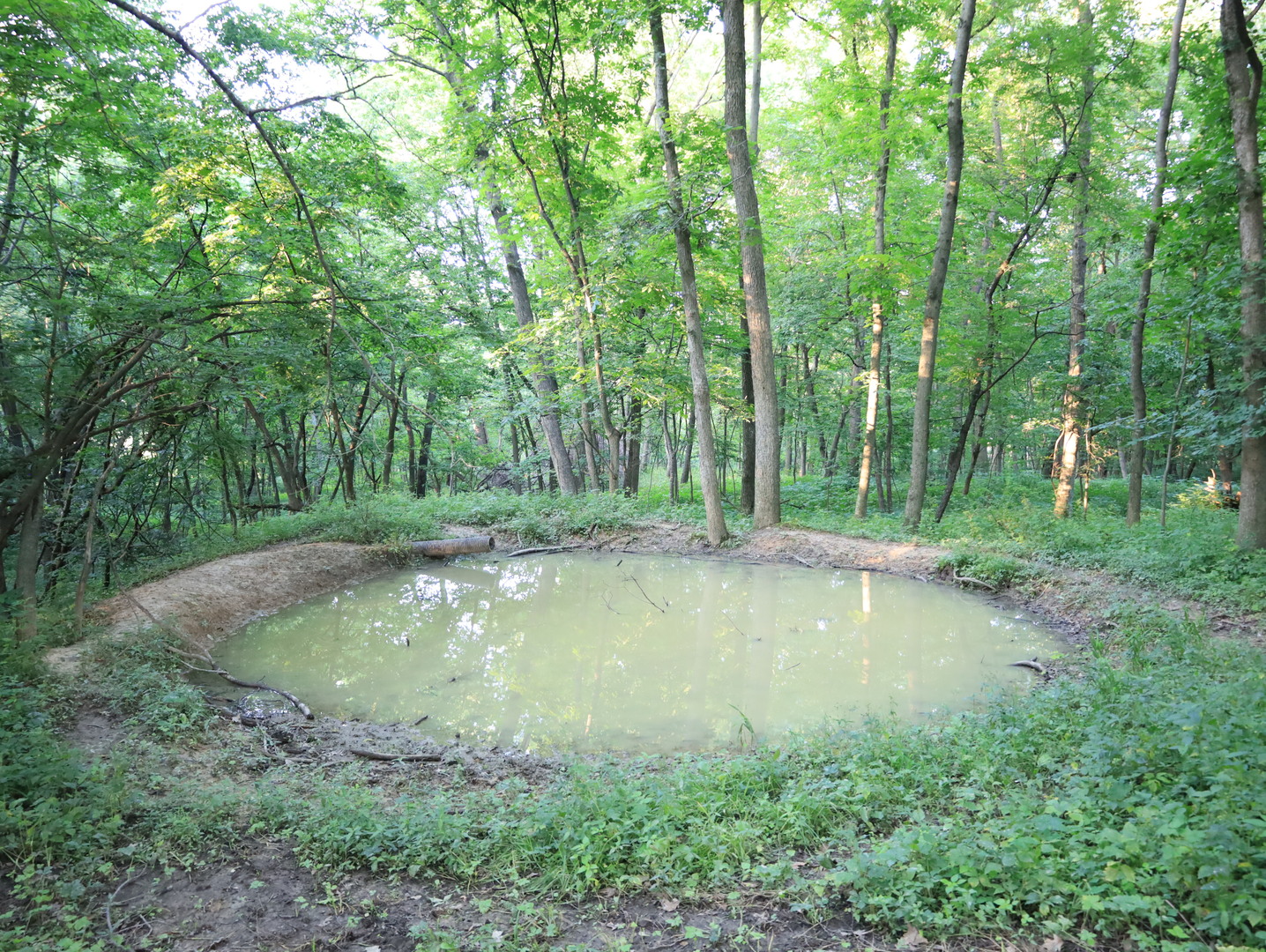 000 W Steele Road, Hanover, IL 61041