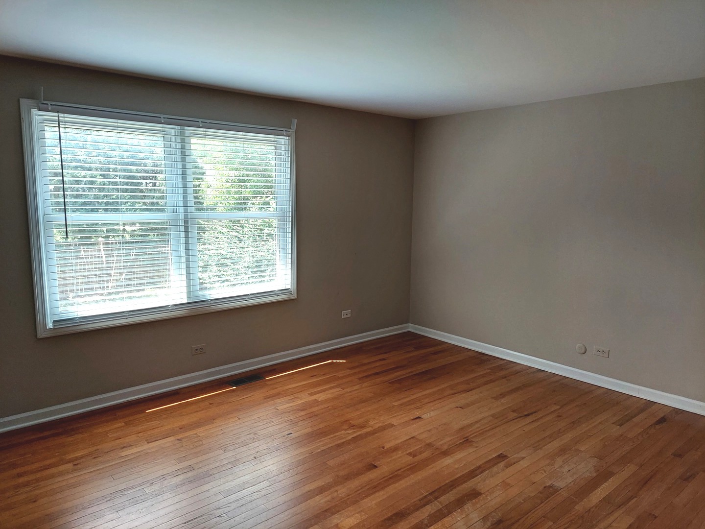 1216 Evergreen Avenue, Naperville, IL 60540
