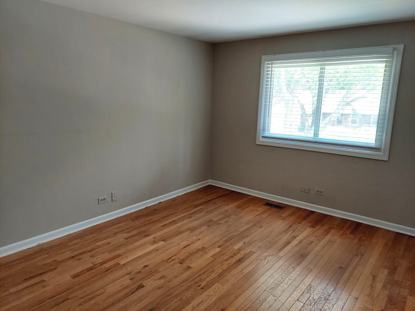 1216 Evergreen Avenue, Naperville, IL 60540