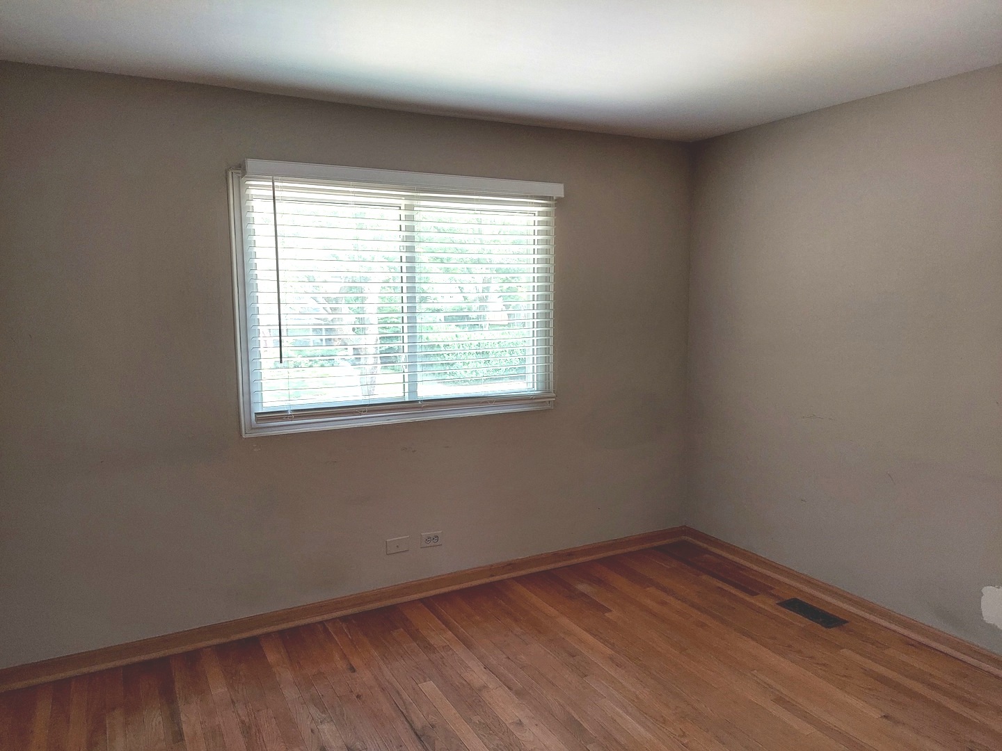 1216 Evergreen Avenue, Naperville, IL 60540