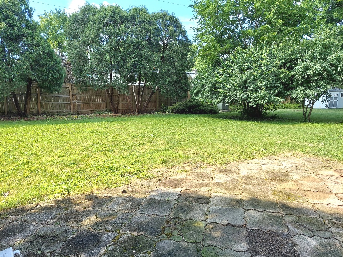 1216 Evergreen Avenue, Naperville, IL 60540