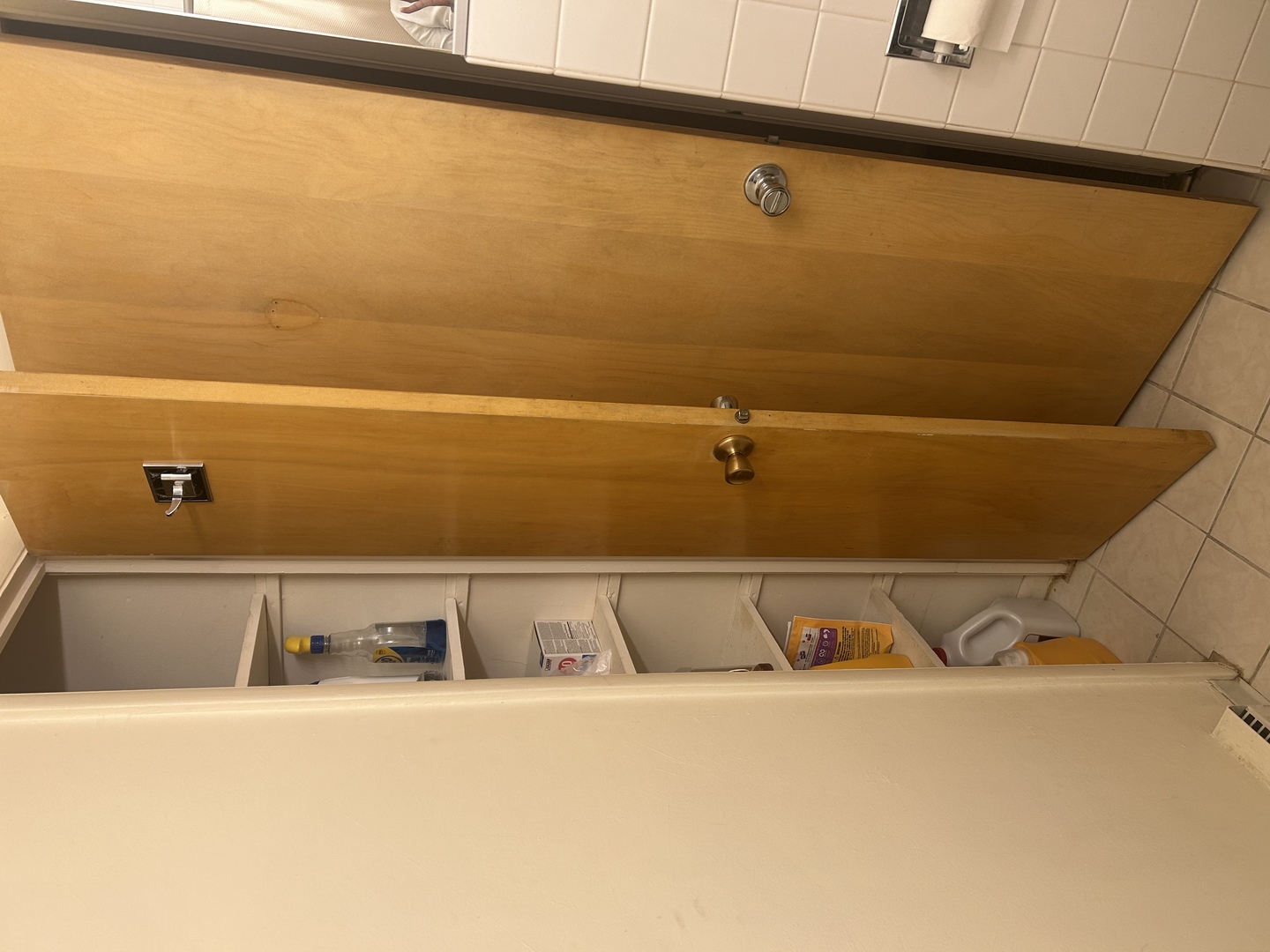 1117 Leavitt Avenue #108, Flossmoor, IL 60422