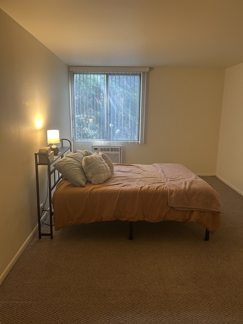 1117 Leavitt Avenue #108, Flossmoor, IL 60422