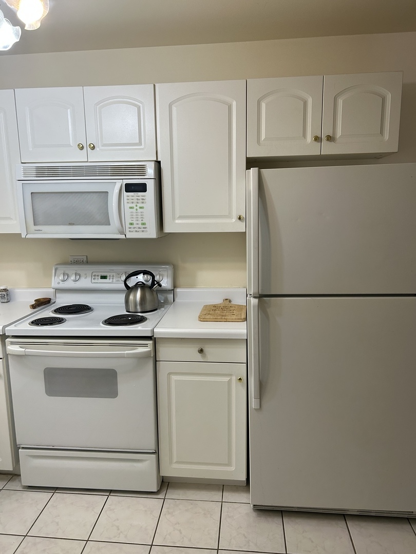 1117 Leavitt Avenue #108, Flossmoor, IL 60422