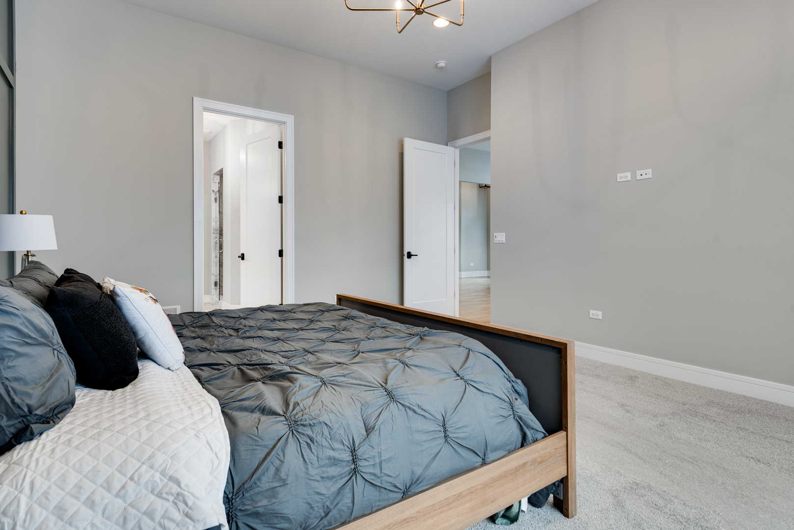 11668 Misty Creek Lane, Frankfort, IL 60423