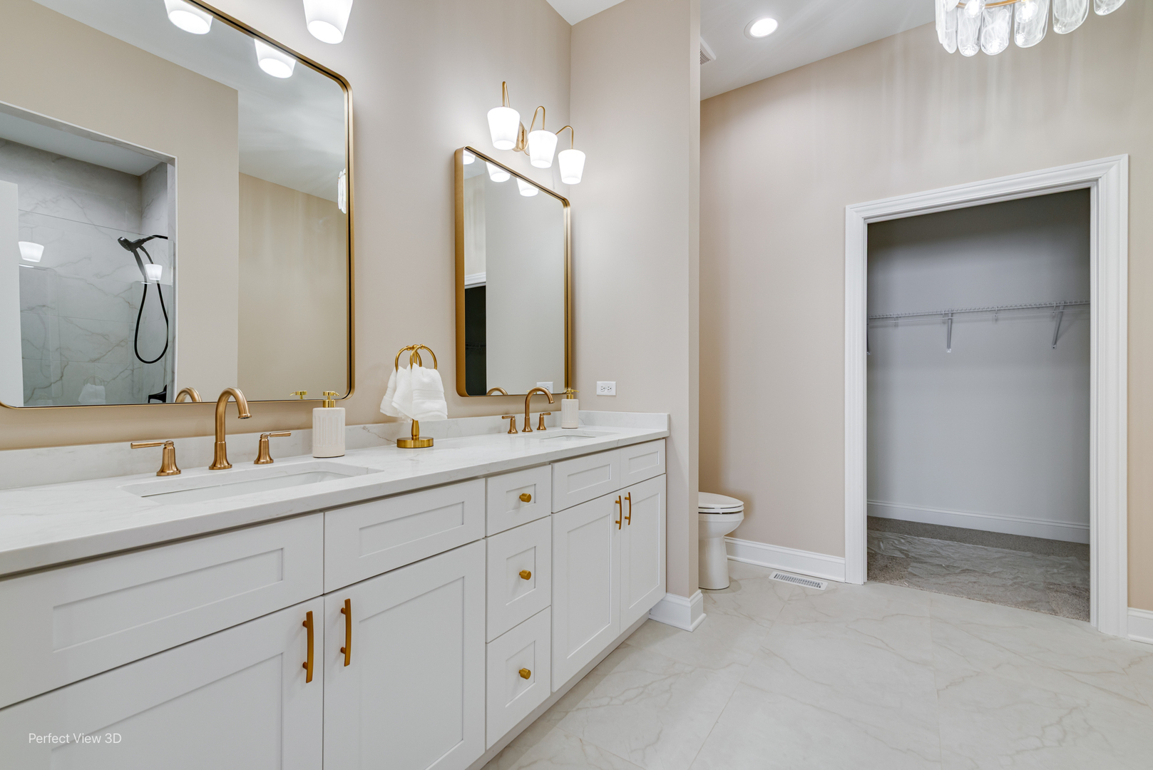 11685 Misty Creek Lane, Frankfort, IL 60423