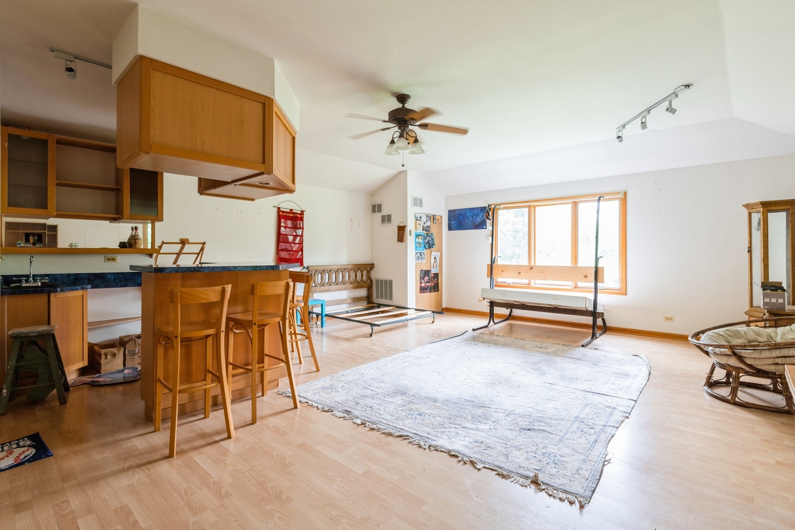 604 E Camp Mcdonald Road, Prospect Heights, IL 60070