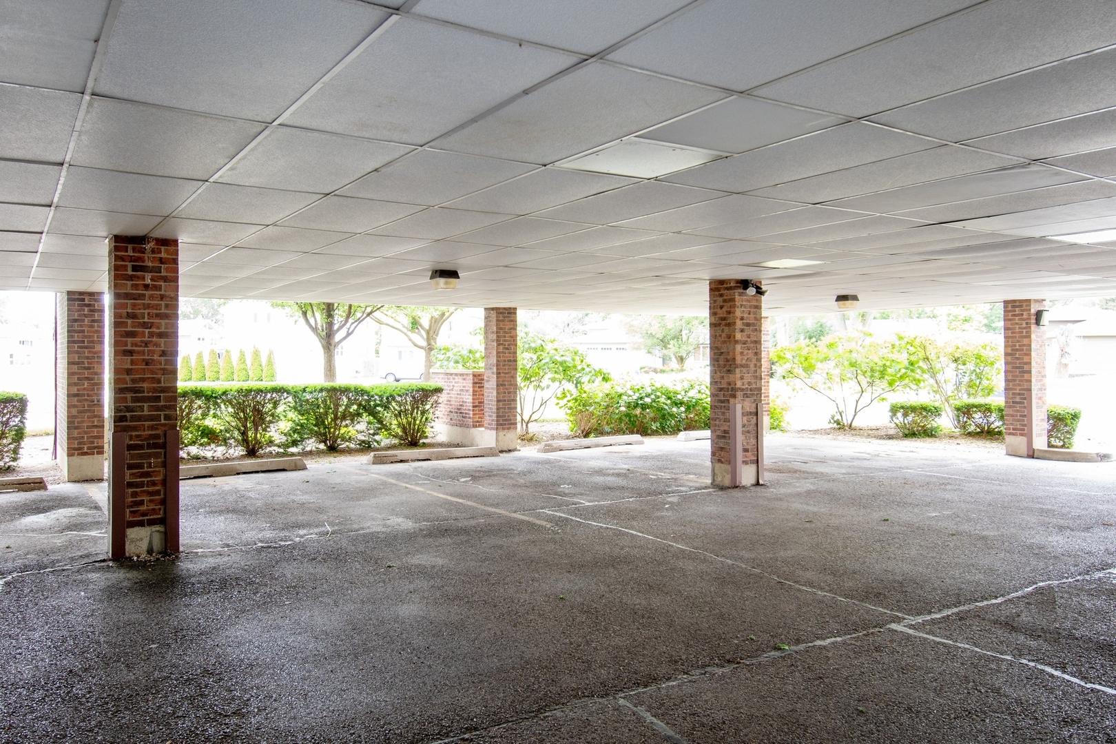 6565 Main Street #204, Downers Grove, IL 60516