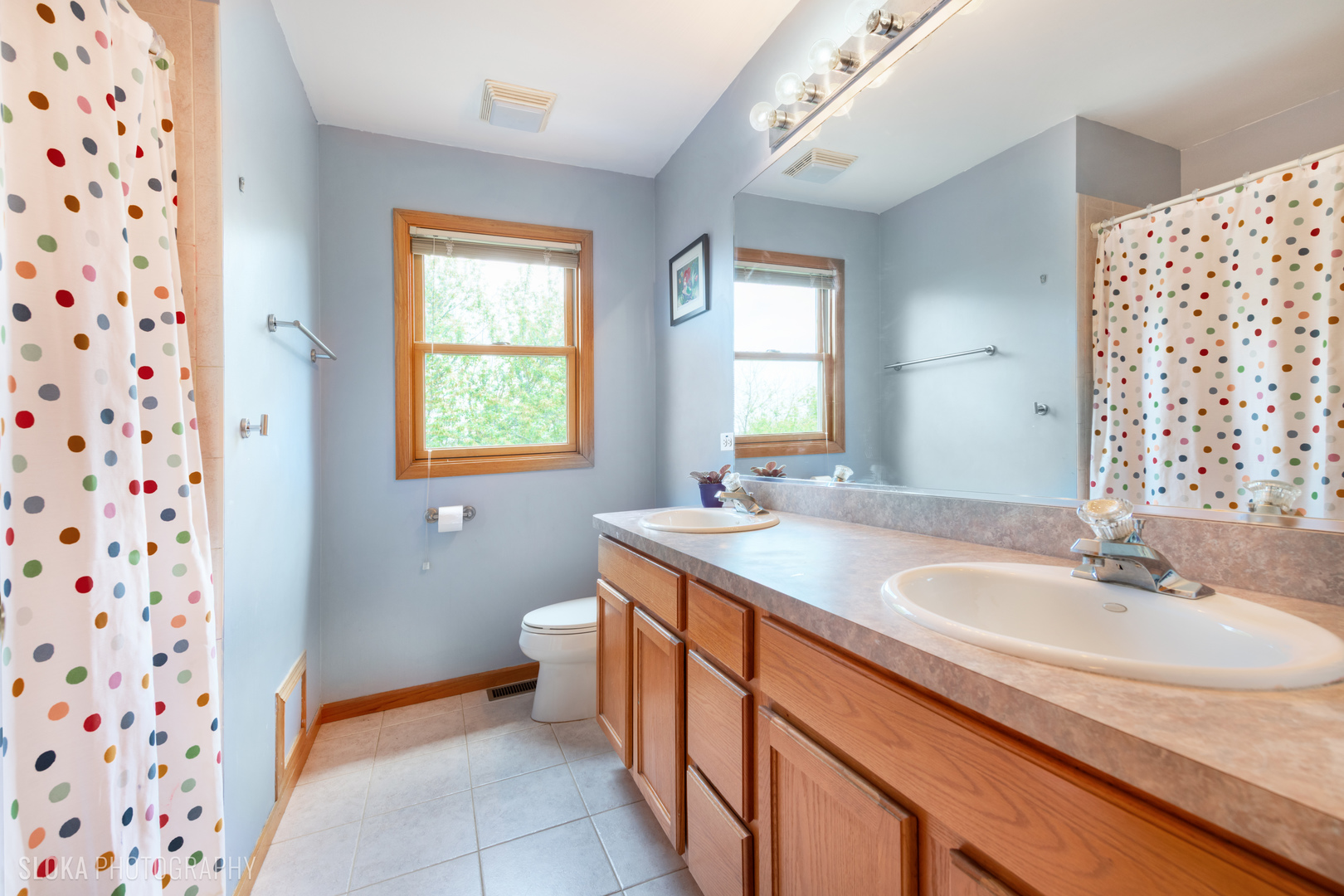 621 Red Spruce Trail, Lake Villa, IL 60046