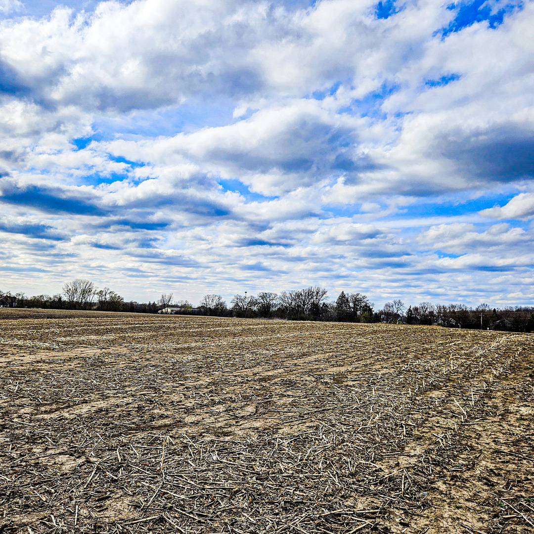 26155 W IL Route 120, Grayslake, IL 60030