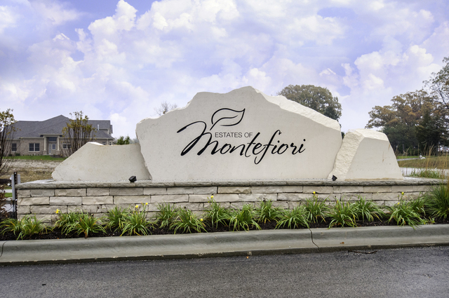 11158 Tuscany Lane, Lemont, IL 60439