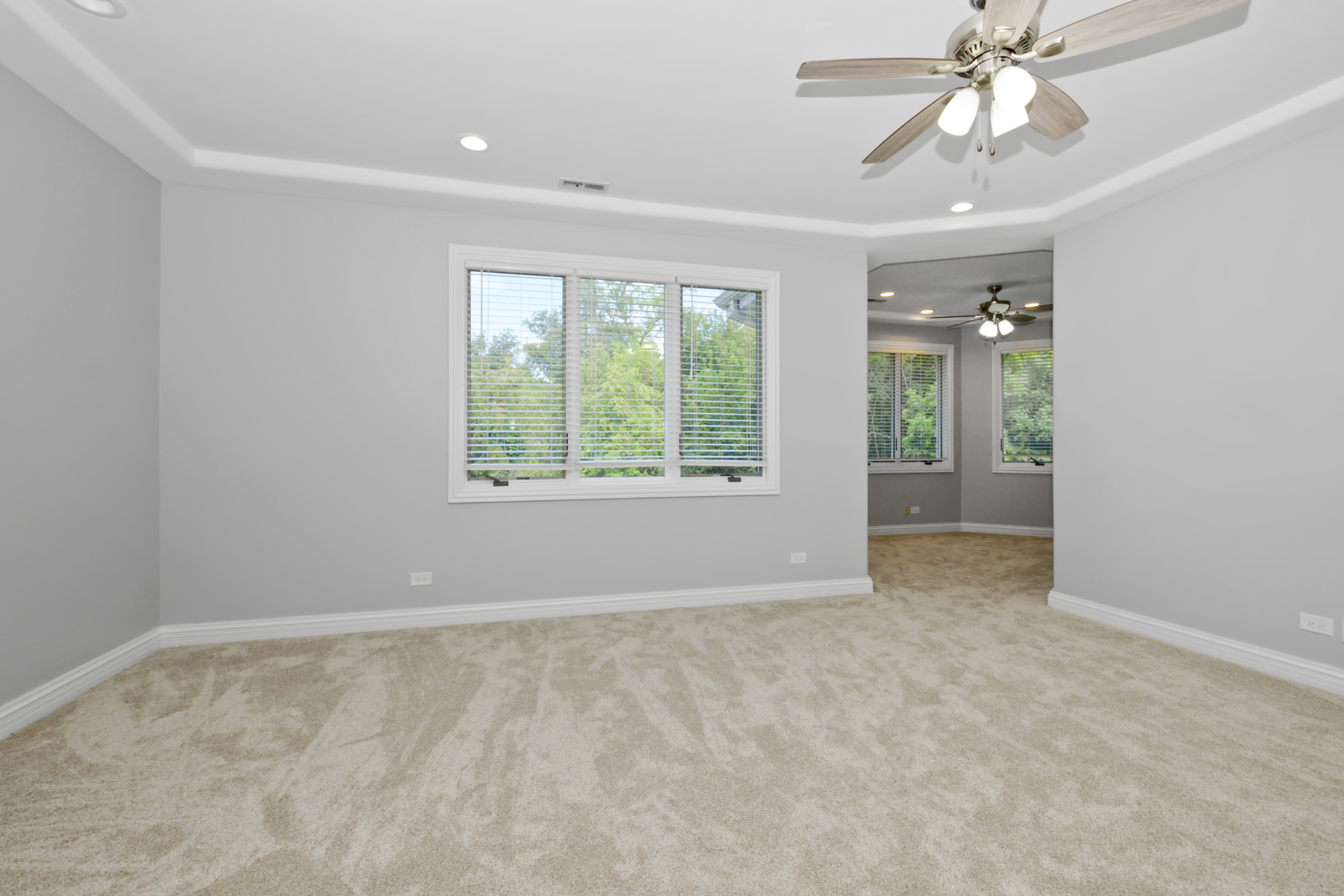 20659 Abbey Drive, Frankfort, IL 60423