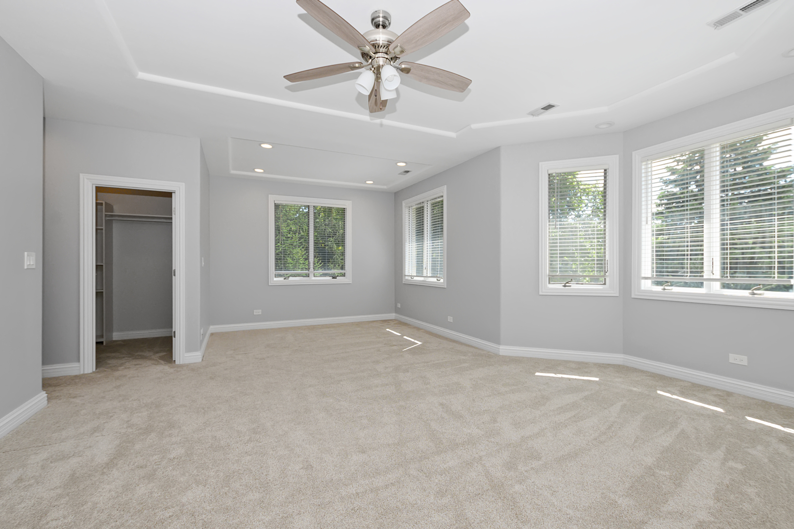 20659 Abbey Drive, Frankfort, IL 60423