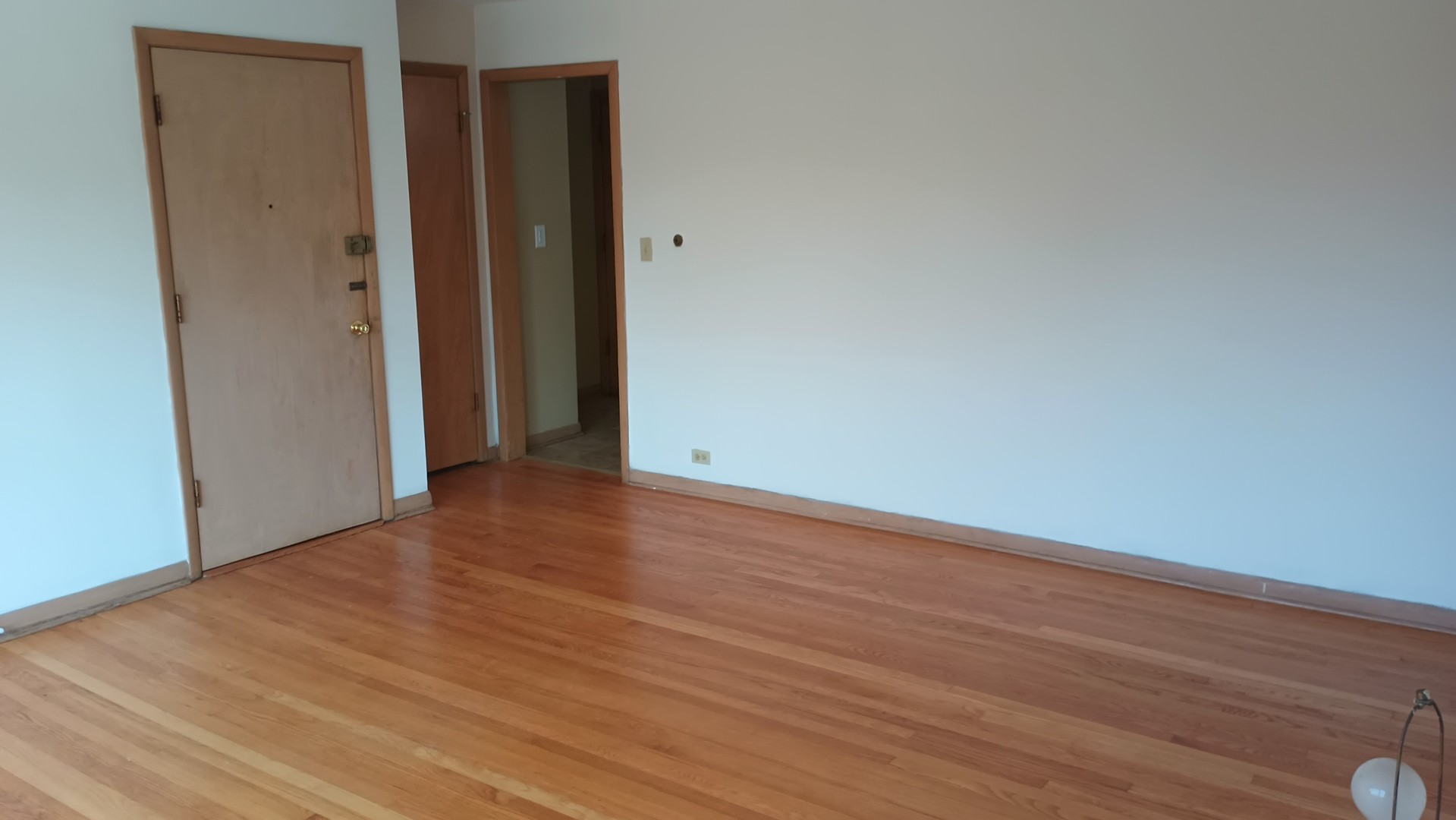 4950 Greenwood Street #3E, Skokie, IL 60077