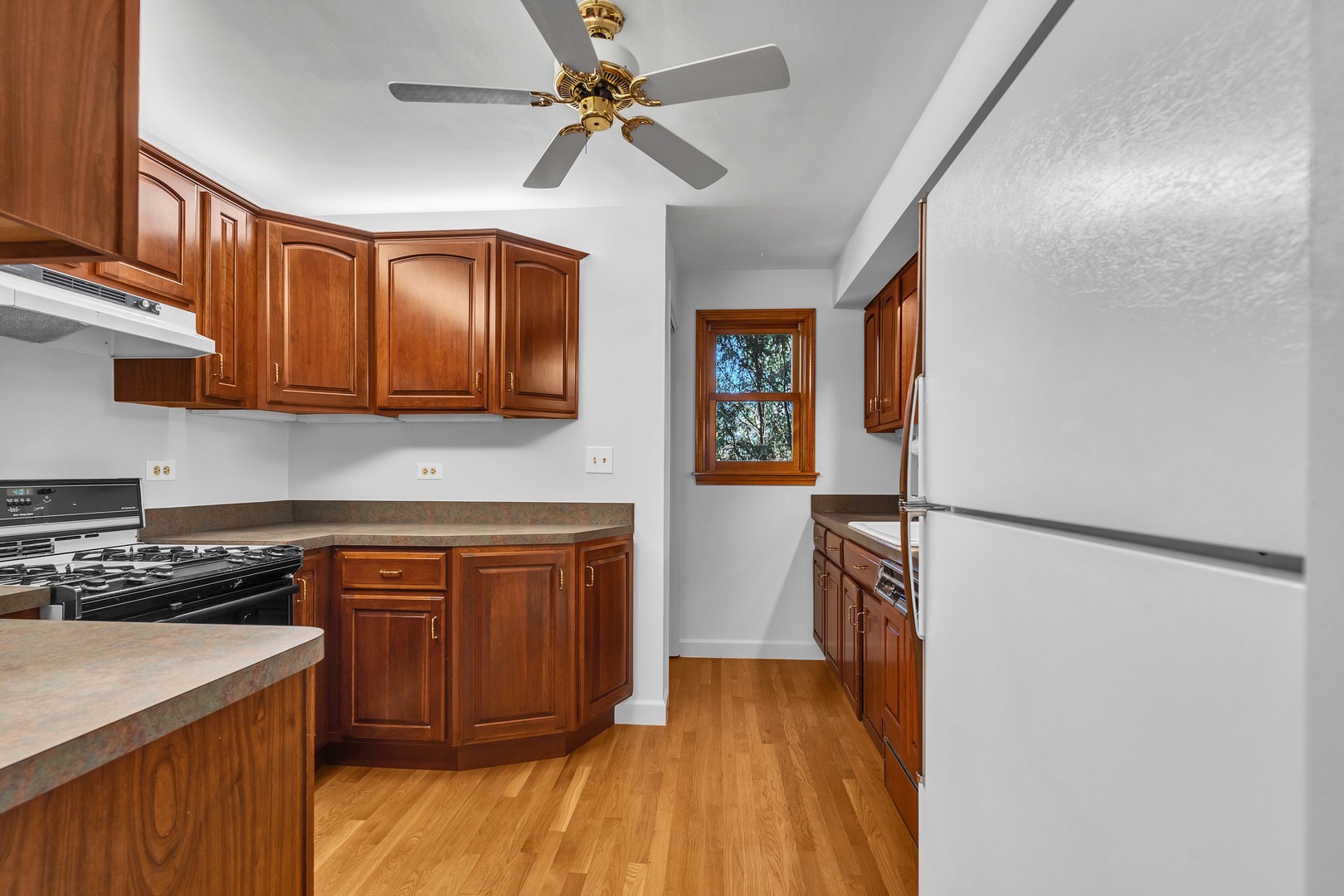 1245 Morgan Avenue, La Grange Park, IL 60526