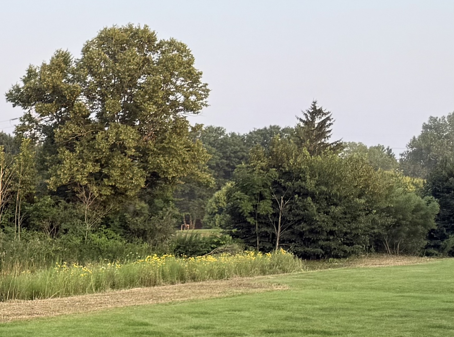 3015 Monterey Lane, Wadsworth, IL 60083