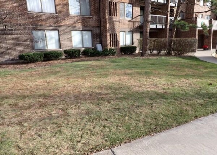 400 Park Avenue #211, Calumet City, IL 60409