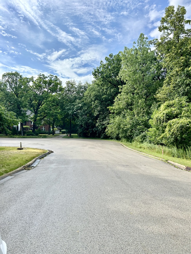 12932 Carrington Court, New Lenox, IL 60451
