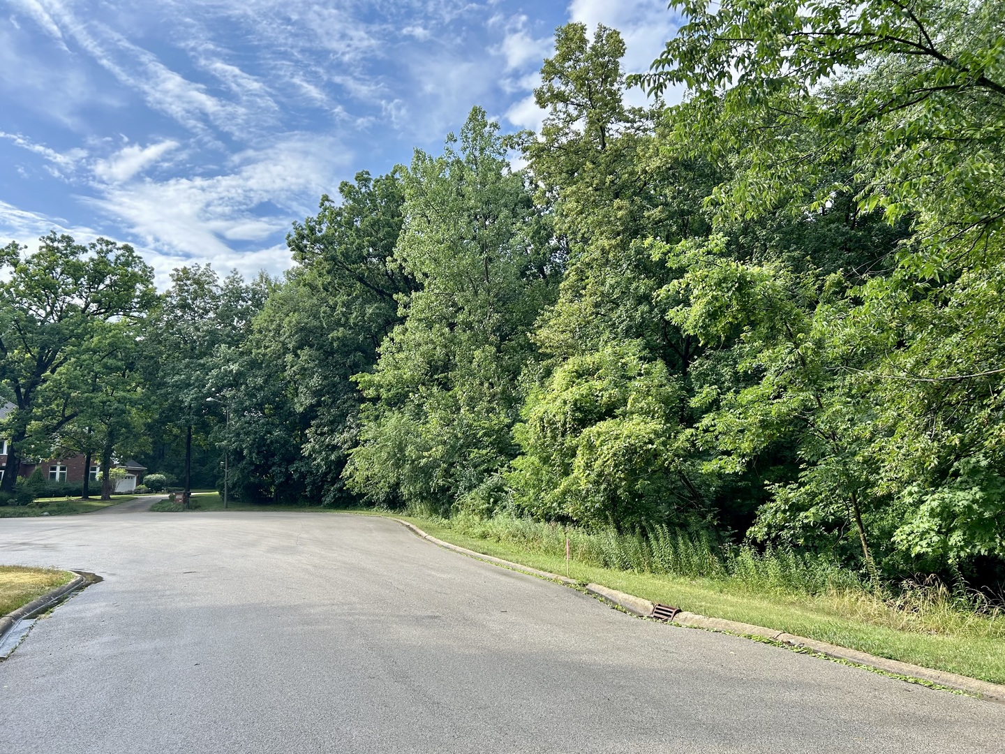 12932 Carrington Court, New Lenox, IL 60451