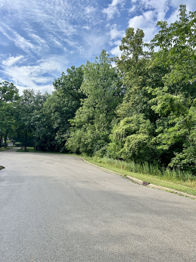 12932 Carrington Court, New Lenox, IL 60451