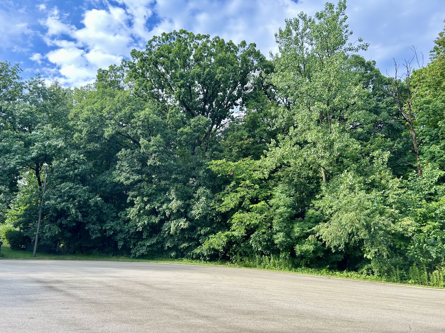 12932 Carrington Court, New Lenox, IL 60451