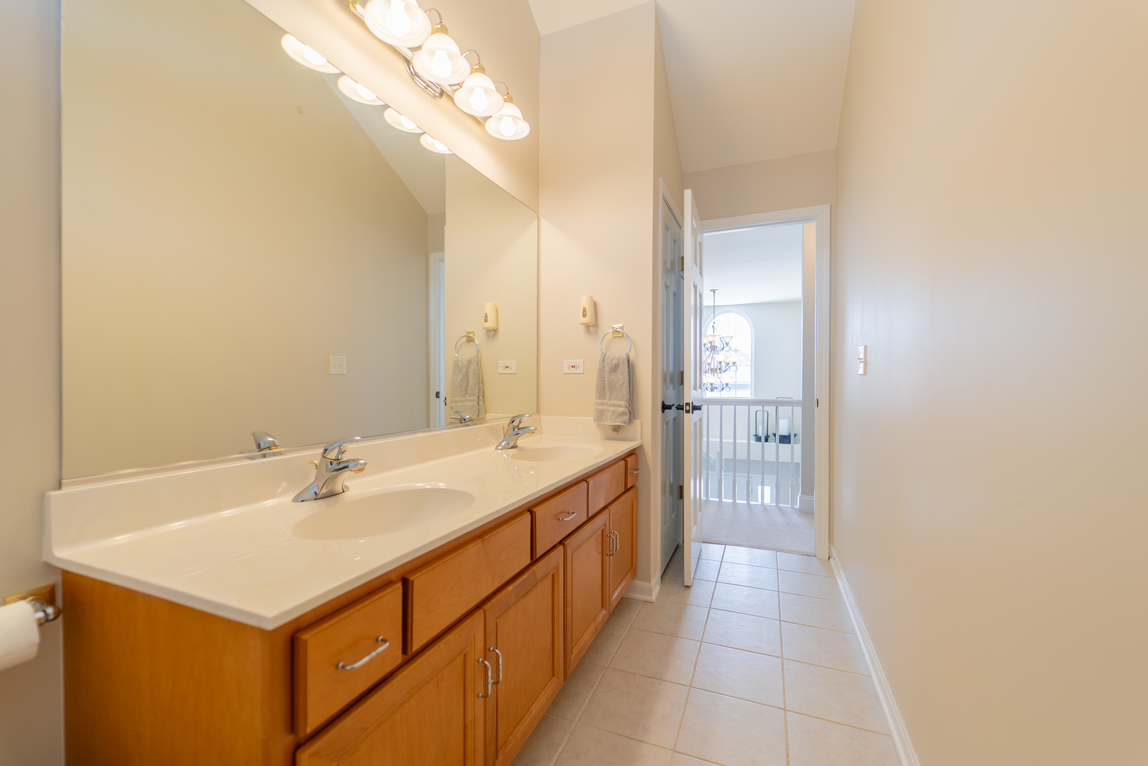 13119 Millbank Drive, Plainfield, IL 60585