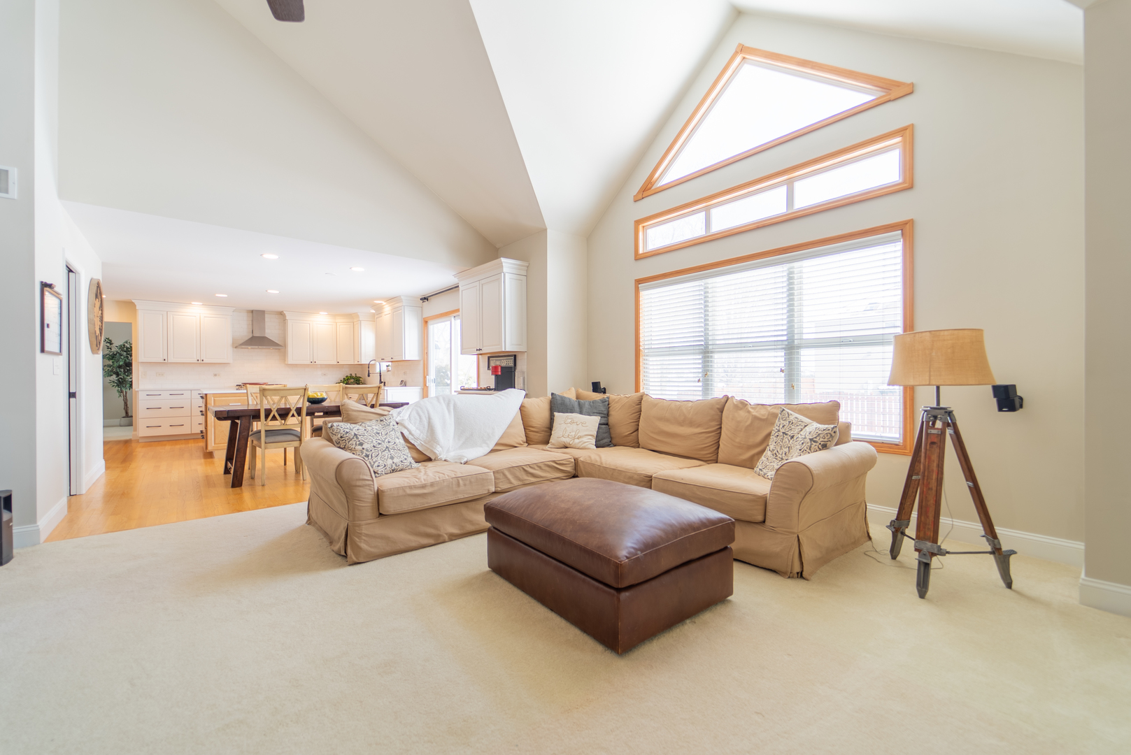 13119 Millbank Drive, Plainfield, IL 60585